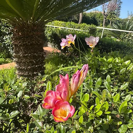 Apartment Belfrontizio Acireale